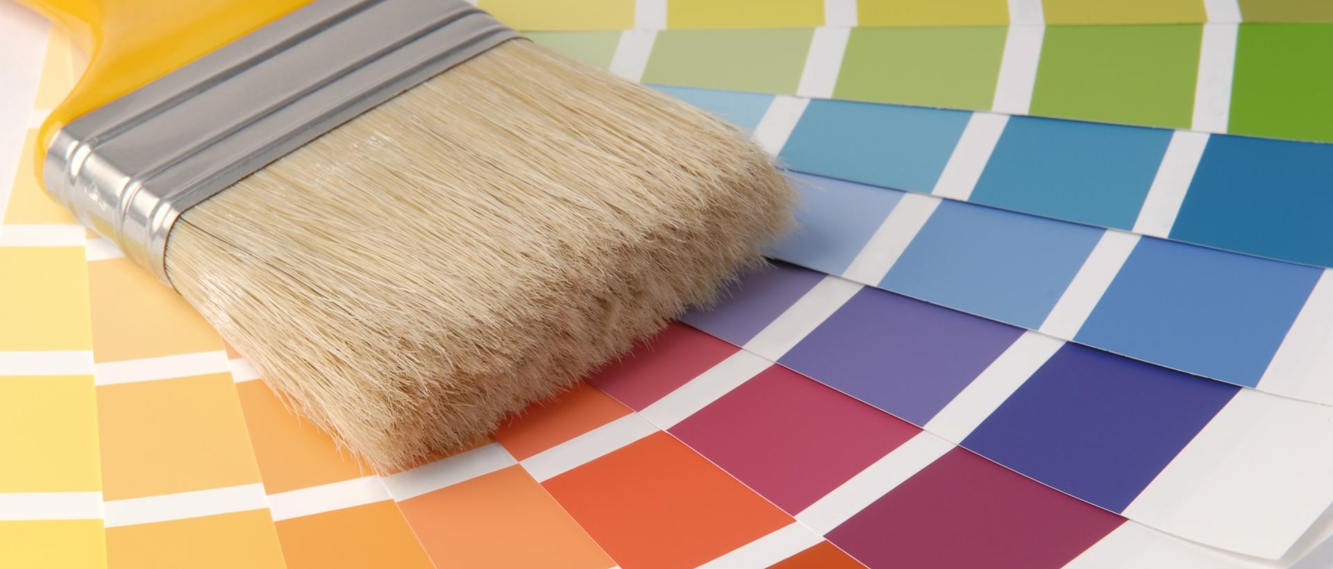 Painter W13